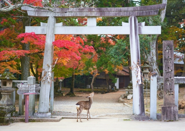 Νάρα